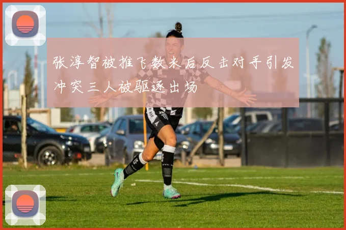 张淳智被推飞数米后反击对手引发冲突三人被驱逐出场