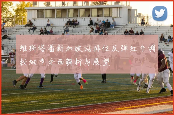 维斯塔潘新加坡站排位反弹红牛调校细节全面解析与展望